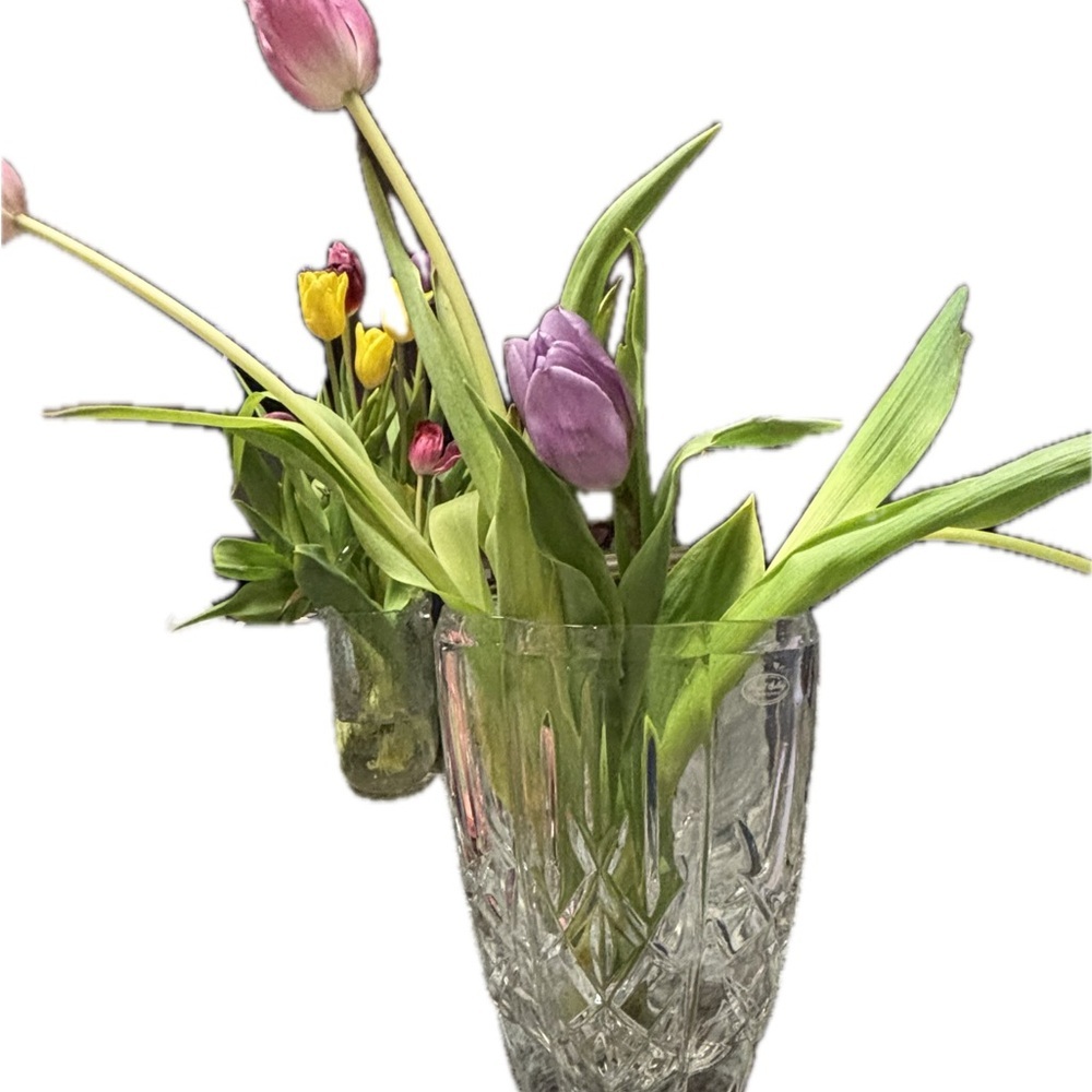 Royal Gallery Elegant Crystal Vase